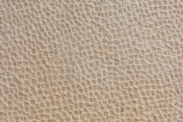 Texture of beige wall from chopped seashell and stucco.