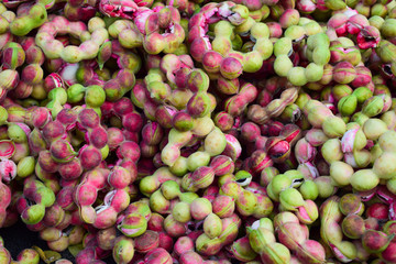 Fresh tamarind fruit