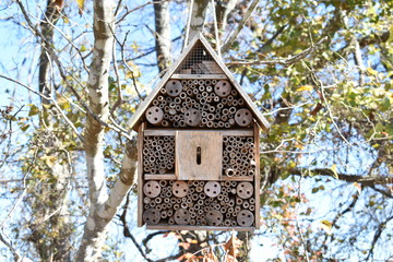 Obraz na płótnie Canvas Winter Wooden Birdhouse on Fall Tree