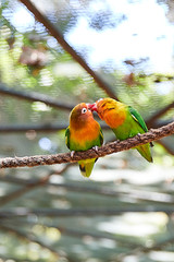 Mauritius landscapes