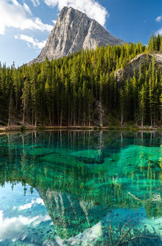 A Summer Morning at Grassi Lakes 