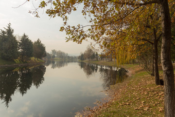 view of a natural park by the river on a foggy autumn morning