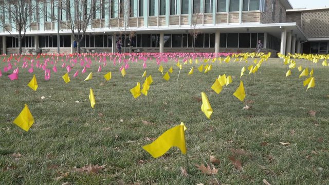 Field of Flags during Holocaust Awareness Week at Colorado State University Campus, yellow flags represent Jews killed, red - Soviets, orange - Polish.