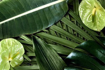 tropical leaf green leaves branding  natural organic green greenery foliage