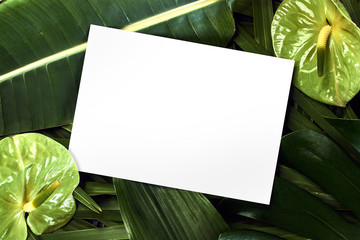 tropical leaf green leaves poster branding card mockup blank natural organic green greenery foliage