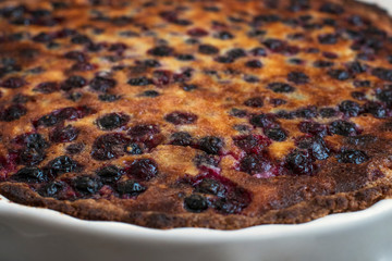 Beautiful delicious cake with currants and cottage cheese on shortbread dough. Healthy home food. 