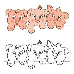 Three funny little piglets symbols of the new year in color and black and white look out from behind the edges