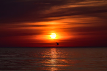 Sunset on the beach in Saulkrasti. 