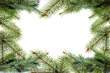 Pine tree frame isolated on white background, new year photo for text and typography