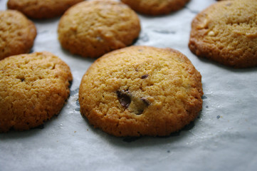 Fresh baked cookies with chocolate, close up. on baking paper.