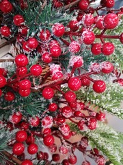 Christmas decoration with red berries, selective focus. Spruce branches and red berries. Christmas design. New year background with traditional decoration elements 