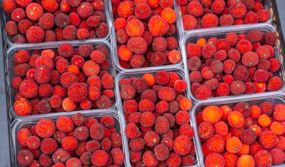 organic wild strawberries sold in market