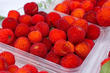 organic wild strawberries sold in market