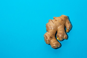 Ripe ginger root and ground on blue.