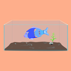 Robo-fish in the aquarium with plant and stones