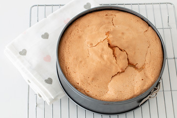 Baked sponge cake in a round form
