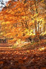 Menschen goldener Herbst