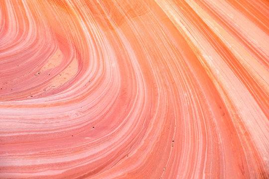 Curving lines of sandstone layers weathered by wind and rain into narrow canyon. - Powered by Adobe