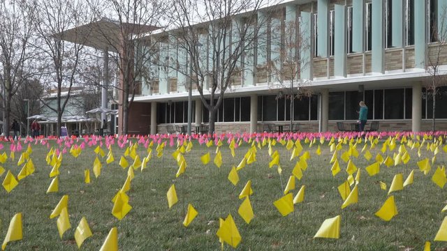Field of Flags during Holocaust Awareness Week at Colorado State University Campus, yellow flags represent Jews killed.