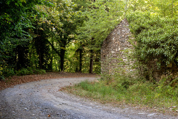 Narrow mountain dirt road (Greece)