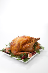 Traditional Roasted Turkey on White