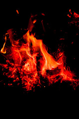 Fototapeta na wymiar Bright fading bonfire in night summer forest.