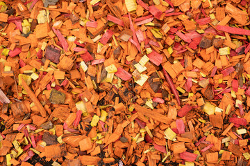 Texture of brightly painted wood shavings