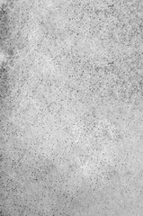 Background, texture of black and white fluffy mold close-up. Interesting abstract background, texture in black and white colors. Vertical photo