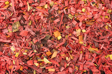 Texture of brightly painted wood shavings