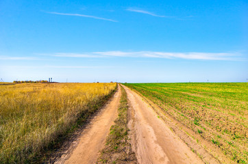 Country road through field