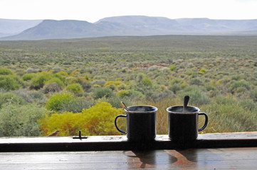 Mugs with a view