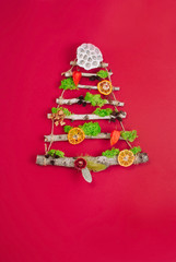Fototapeta na wymiar Christmas tree from natural dried plants on red background