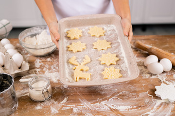 Hands of young housewife holding tray with raw Christmas cookies over table