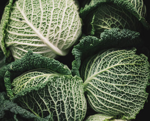 fresh green cabbage