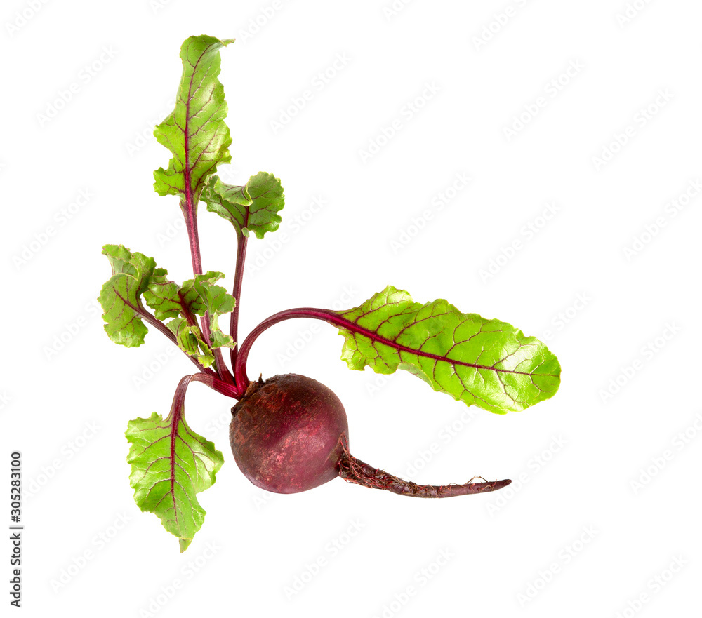 Sticker Beetroot with leaves, fresh whole beet isolated