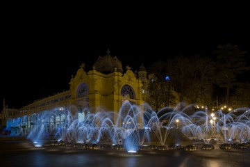Main colonnade and singing fountain at night - center of Marianske Lazne (Marienbad) - great famous...