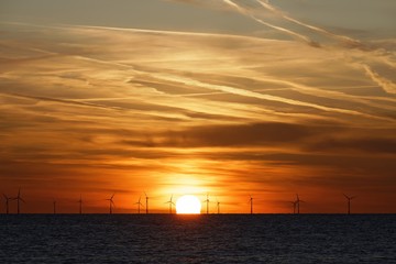 Fototapeta na wymiar Windfarm on the sea at sunset