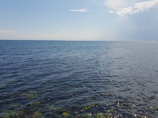 Sea shore landscaper in summer