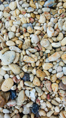 the texture of gravel with beautiful colors. ground pebble background. Beautiful background texture with sea pebbles.