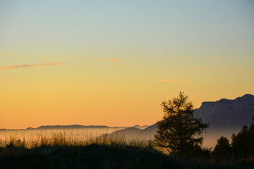 Fototapeta na wymiar Nebbia mattutina ammanta il paesaggio montano