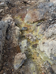 Sulfite