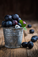 blueberries in a bucket