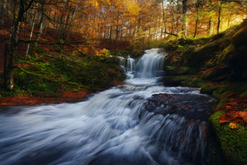 Waterfall in a forest at autumn