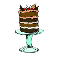 Hand drawn celebration cake. Color vector illustration of a chocolate pie with cherry on a white background