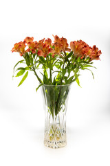 Alstroemeria Indian Summer Tesronto Peruvian lily in a crystal cut vase set against a white background