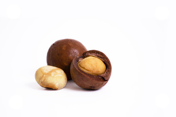 Shelled macadam nut closeup on a white background.