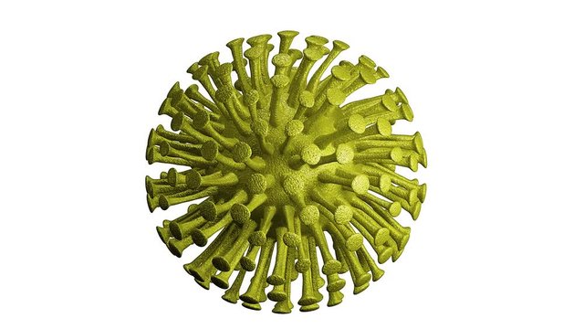 Virus amarillo