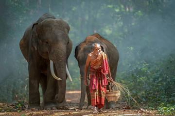 The old man was walking out of the forest with the elephant he raised.