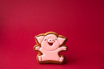 gingerbread cookie of cute pink pig on red background. Traditional Christmas food. Christmas and New Year holiday concept. Copyspace