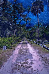 Naklejka premium Night Skies of Peace